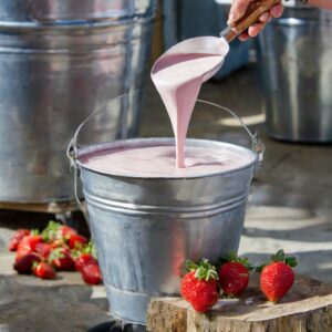 Yaourt Brasse Bulgare Fraise